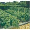 NORTENE Trellinet - Filet à Ramer 1x5m -Protection Pour Végétaux Soldes 35237674 1