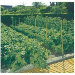 NORTENE Trellinet - Filet à Ramer 1x5m