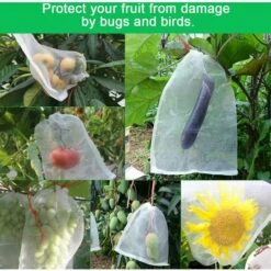 LangRay 50 PCS Sac De Protection Fruit Sac Maille Contre Les Insectes Sac De Protection Plante Avec Cordon De Serrage Sacs En Filet Anti-Insectes Sac à Insectes 20*30cm Pour Raisins, Pommes, Oiseaux -Protection Pour Végétaux Soldes 36154843 5