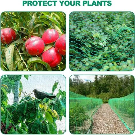BEARSU Filet Anti-oiseaux Vert, Filet De Protection Contre Les Oiseaux De Jardin, Filet Pour Plantes De Jardin, Maille De Clôture Réutilisable, Protège Les Légumes-fruits Du Raisin Des Oiseaux Cerfs 4 BEARSU Filet Anti-oiseaux Vert, Filet De Protection Contre Les Oiseaux De Jardin, Filet Pour Plantes De Jardin, Maille De Clôture Réutilisable, Protège Les Légumes-fruits Du Raisin Des Oiseaux Cerfs – Image 2