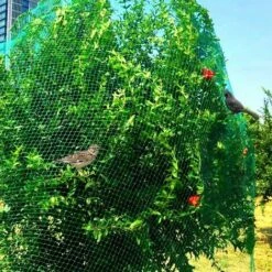 BEARSU Filet De Protection Anti-oiseaux Vert, Filet De Jardin De 13 X 20 Pieds Pour Les Plantes, Protège Les Plantes Potagères Et Les Arbres Fruitiers, Filet De Clôture Réutilisable Pour Les Oiseaux, Les Cerfs Et Les écureuils -Protection Pour Végétaux Soldes 36781137 5