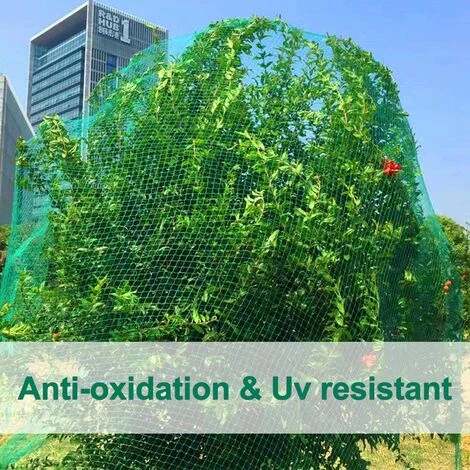 BRIDAY Filet Vert Anti-oiseaux, Filet De Protection Contre Les Oiseaux De Jardin, Filet Pour Plantes De Jardin, Maille De Clôture Réutilisable, Protège Les Légumes-fruits Du Raisin Des Oiseaux Cerfs (6,6 X 33 Pi) 5 BRIDAY Filet Vert Anti-oiseaux, Filet De Protection Contre Les Oiseaux De Jardin, Filet Pour Plantes De Jardin, Maille De Clôture Réutilisable, Protège Les Légumes-fruits Du Raisin Des Oiseaux Cerfs (6,6 X 33 Pi) – Image 3