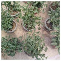 BRIDAY Filet Anti-oiseaux En Nylon Réutilisable De 33 X 16 Pi Filet Anti-oiseaux En Filet Anti-oiseaux Filet De Protection Pour Les Plantes De Jardin Protection De La Cage Contre Les Oiseaux Cerf Mouette Pigeon -Protection Pour Végétaux Soldes 37008175 2