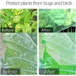 TRIOMPHE Filet Anti-insectes,Filet Anti-insectes Végétal,Filet Protection Fleurs,Filet Protection Légumes,Filets Jardin Filet Légumes,Filet Protection ​Oiseaux,Vole Filet De Protection,Filets Jardin -Protection Pour Végétaux Soldes 37339064 3