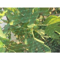 TRIOMPHE 2x8M Filet Anti-Oiseaux, Filet Voliere, Filet De Jardin, Filet De Protection Jardin, Filet De Treillis Végétal, Filet De PProtection Oiseaux Pour Jardin Fruits Légumes Fleurs (2x8m) -Protection Pour Végétaux Soldes 37339076 5