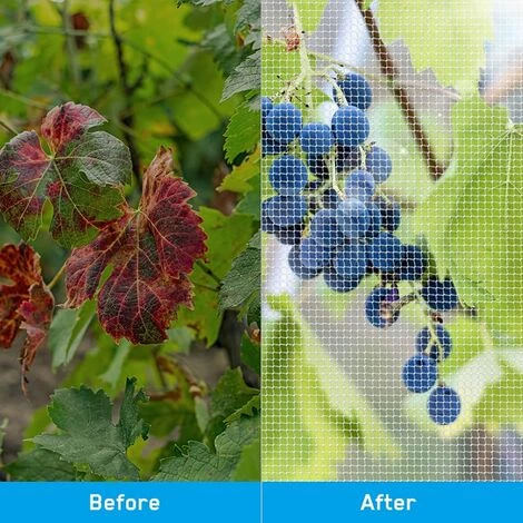 BETTERLIFE Garden Bug Netting Durble Plant Protective Cover, For Protect Plant Fruits Flower From Insect Bird Eating 7 BETTERLIFE Garden Bug Netting Durble Plant Protective Cover, For Protect Plant Fruits Flower From Insect Bird Eating – Image 5