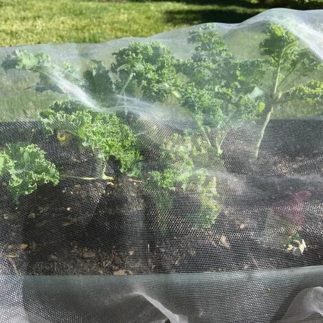 TRIOMPHE Filet à Insectes, 2.5*10m Insectes Protection Maille, Filet Anti-Insectes Pour Plantes, Filet De Jardin Moustiquaire, Jardin Filet De Protection Pour Protéger Plantes Fruits 5 TRIOMPHE Filet à Insectes, 2.5*10m Insectes Protection Maille, Filet Anti-Insectes Pour Plantes, Filet De Jardin Moustiquaire, Jardin Filet De Protection Pour Protéger Plantes Fruits – Image 3