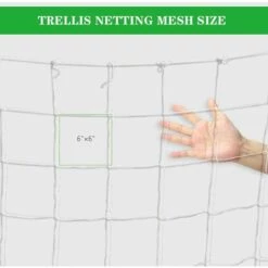 Kueatily Grille De Tente De Croissance, Grille De Jardin De Plantes De 5 * 15 Pieds, Plante Grimpante De Vigne De Support De Plante Lourde 8 Kueatily Grille De Tente De Croissance, Grille De Jardin De Plantes De 5 * 15 Pieds, Plante Grimpante De Vigne De Support De Plante Lourde -Protection Pour Végétaux Soldes 38538672 2