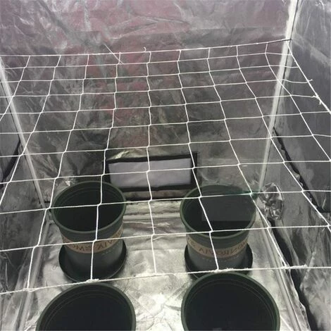 Kueatily Grille De Tente De Croissance, Grille De Jardin De Plantes De 5 * 15 Pieds, Plante Grimpante De Vigne De Support De Plante Lourde 6 Kueatily Grille De Tente De Croissance, Grille De Jardin De Plantes De 5 * 15 Pieds, Plante Grimpante De Vigne De Support De Plante Lourde – Image 4