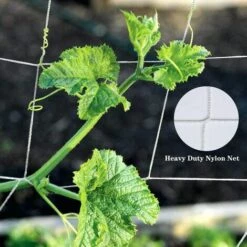 Kueatily Grille De Tente De Croissance, Grille De Jardin De Plantes De 5 * 15 Pieds, Plante Grimpante De Vigne De Support De Plante Lourde 11 Kueatily Grille De Tente De Croissance, Grille De Jardin De Plantes De 5 * 15 Pieds, Plante Grimpante De Vigne De Support De Plante Lourde -Protection Pour Végétaux Soldes 38538672 5