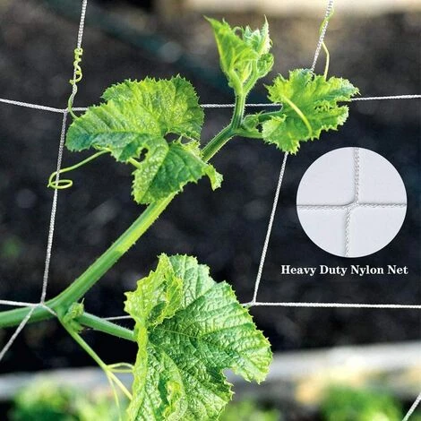 Kueatily Grille De Tente De Croissance, Grille De Jardin De Plantes De 5 * 15 Pieds, Plante Grimpante De Vigne De Support De Plante Lourde 7 Kueatily Grille De Tente De Croissance, Grille De Jardin De Plantes De 5 * 15 Pieds, Plante Grimpante De Vigne De Support De Plante Lourde – Image 5