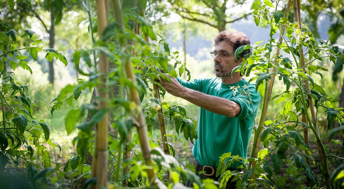 Protection Pour Végétaux Soldes -Protection Pour Végétaux Soldes 4