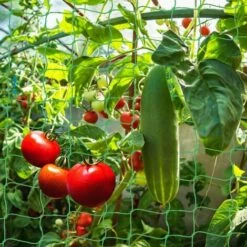 BETTERLIFE BET Filet Pour Plantes - 1,8 M X 2,7 M - Filet De Soutien Pour Jardin, Serre De Jardin, Concombre, Tomates, Tuteurs Pour Plantes Grimpantes, Accessoires De Serre, Filet De Jardin. -Protection Pour Végétaux Soldes 40261047 2