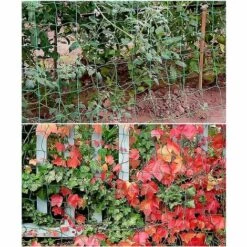BETTERLIFE BET Filet Pour Plantes - 1,8 M X 2,7 M - Filet De Soutien Pour Jardin, Serre De Jardin, Concombre, Tomates, Tuteurs Pour Plantes Grimpantes, Accessoires De Serre, Filet De Jardin. -Protection Pour Végétaux Soldes 40261047 4