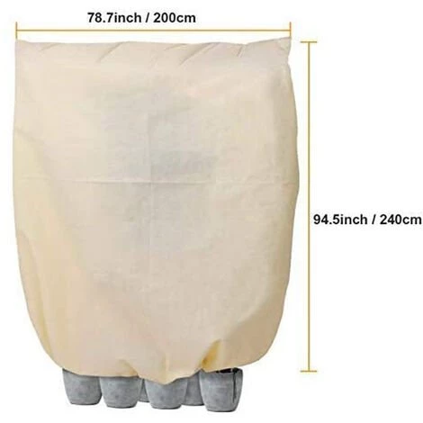 TRIOMPHE Housse Hivernage Pour Plantes, Housse D'hivernage Non Tissée 80 G/m² Protection Contre Le Gel Des Plantes En Pots Et Rosiers (240x200cm) 4 TRIOMPHE Housse Hivernage Pour Plantes, Housse D'hivernage Non Tissée 80 G/m² Protection Contre Le Gel Des Plantes En Pots Et Rosiers (240x200cm) – Image 2