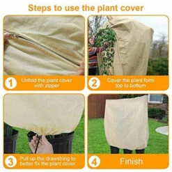 TRIOMPHE Housse Hivernage Pour Plantes, Housse D'hivernage Non Tissée 80 G/m² Protection Contre Le Gel Des Plantes En Pots Et Rosiers (240x200cm) 9 TRIOMPHE Housse Hivernage Pour Plantes, Housse D'hivernage Non Tissée 80 G/m² Protection Contre Le Gel Des Plantes En Pots Et Rosiers (240x200cm) -Protection Pour Végétaux Soldes 40295868 3