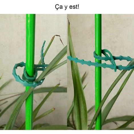 BETTERLIFE BETT 80 Pcs Accroche-Tuteurs Pour Tomates Arbres Tuteurs De Plantes Attache Et Soutien Réglable Pour Plantes Serre-câble Lien En Plastique Pour Jardinage Bricolage 7 BETTERLIFE BETT 80 Pcs Accroche-Tuteurs Pour Tomates Arbres Tuteurs De Plantes Attache Et Soutien Réglable Pour Plantes Serre-câble Lien En Plastique Pour Jardinage Bricolage – Image 5