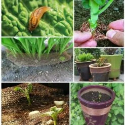 TANABATA Filet De Cuivre Tricoté Pour La Lutte Antiparasitaire, Souris, Rat, Rongeur, Escargot, Oiseaux, Contrôle De Chauve-Souris, Bloqueur De Cuivre(6 M / 19 Feet) -Protection Pour Végétaux Soldes 41581557 5