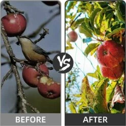 TANABATA Filet De Protection Contre Les Oiseaux 2 M X 10 M Pour Jardin, Plantes, Fruits, Papillons 10 TANABATA Filet De Protection Contre Les Oiseaux 2 M X 10 M Pour Jardin, Plantes, Fruits, Papillons -Protection Pour Végétaux Soldes 41581750 4