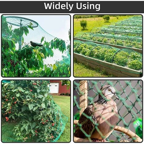 TANABATA Filet De Protection Contre Les Oiseaux 2 M X 10 M Pour Jardin, Plantes, Fruits, Papillons 7 TANABATA Filet De Protection Contre Les Oiseaux 2 M X 10 M Pour Jardin, Plantes, Fruits, Papillons – Image 5