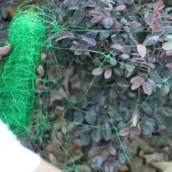 TANABATA 2 Pcs 4 X 1,7 M Filet De Jardin Filet En Plastique Treillis Net Plante Filet à Pois Pour Haricot Fruits Légumes Plantes Grimpantes (Vert) 10 TANABATA 2 Pcs 4 X 1,7 M Filet De Jardin Filet En Plastique Treillis Net Plante Filet à Pois Pour Haricot Fruits Légumes Plantes Grimpantes (Vert) -Protection Pour Végétaux Soldes 41581754 4