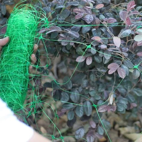 TANABATA 2 Pcs 4 X 1,7 M Filet De Jardin Filet En Plastique Treillis Net Plante Filet à Pois Pour Haricot Fruits Légumes Plantes Grimpantes (Vert) 6 TANABATA 2 Pcs 4 X 1,7 M Filet De Jardin Filet En Plastique Treillis Net Plante Filet à Pois Pour Haricot Fruits Légumes Plantes Grimpantes (Vert) – Image 4