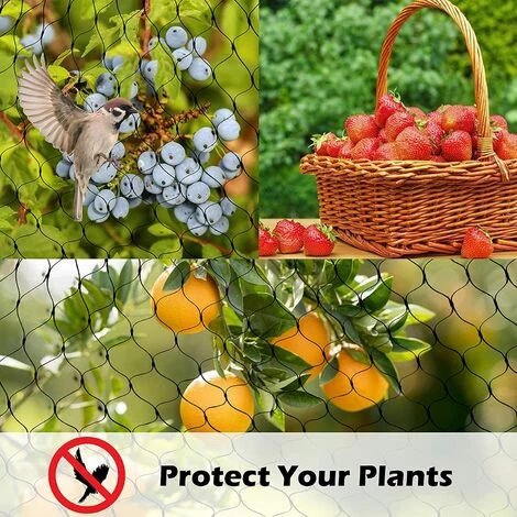 VERSAILLESFR Filet Anti-Oiseaux En Maille 4 X 10M Filet De Plante De Jardin Avec 50 Attaches De Câble Filet D'étang Filets D'Arbres Fruitiers Contre Oiseaux Et Animal Pour Plante 6 VERSAILLESFR Filet Anti-Oiseaux En Maille 4 X 10M Filet De Plante De Jardin Avec 50 Attaches De Câble Filet D'étang Filets D'Arbres Fruitiers Contre Oiseaux Et Animal Pour Plante – Image 4
