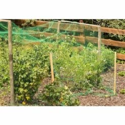 VERSAILLESFR 10 M X 4 M Filet Anti-Oiseaux,Filet Jardin Anti Oiseaux,Filet Anti Oiseaux Nylon,Protégez Arbres Fruitiers Et Les Légume Des Dommages Causés Par Les Oiseaux Et D'autres Animaux 11 VERSAILLESFR 10 M X 4 M Filet Anti-Oiseaux,Filet Jardin Anti Oiseaux,Filet Anti Oiseaux Nylon,Protégez Arbres Fruitiers Et Les Légume Des Dommages Causés Par Les Oiseaux Et D'autres Animaux -Protection Pour Végétaux Soldes 42053273 5