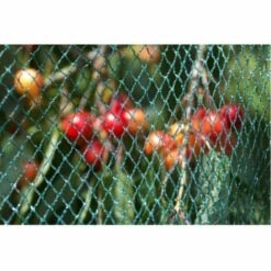 Meister Oiseau Maille 10 X 5 M, Vert 7 Meister Oiseau Maille 10 X 5 M, Vert -Protection Pour Végétaux Soldes 43950893 3