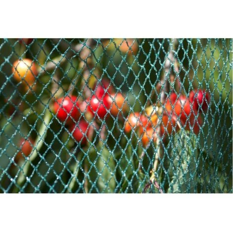 Meister Oiseau Maille 10 X 5 M, Vert 5 Meister Oiseau Maille 10 X 5 M, Vert – Image 3