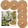Tapis Coco Plante, Disque De Paillage Coco, Protection D'hiver Pour Plantes En Pot, Protéger Les Racines Des Plantes En Pot Du Gel 30cm Fontainebleau 6Pcs 2 Tapis Coco Plante, Disque De Paillage Coco, Protection D'hiver Pour Plantes En Pot, Protéger Les Racines Des Plantes En Pot Du Gel 30cm Fontainebleau 6Pcs -Protection Pour Végétaux Soldes 44182905 1