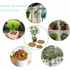 Tapis Coco Plante, Disque De Paillage Coco, Protection D'hiver Pour Plantes En Pot, Protéger Les Racines Des Plantes En Pot Du Gel 30cm Fontainebleau 6Pcs -Protection Pour Végétaux Soldes 44182905 3
