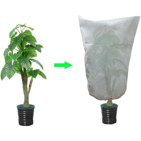 Hivernage Plante, Housse Hivernage Plante, Housse D’Hivernage, Housse De Protection Pour Plantes Housse D'hivernage Réutilisable 80*60cm Fontainebleau 2Pcs Blanc 7 Hivernage Plante, Housse Hivernage Plante, Housse D’Hivernage, Housse De Protection Pour Plantes Housse D'hivernage Réutilisable 80*60cm Fontainebleau 2Pcs Blanc – Image 5