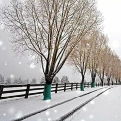 Enveloppement Protecteur D'Arbre,Betterlife 20m X 12,3cm, Bandage Antigel Pour Plantes Arbustives De Protection Du Tronc D'Arbre, Enveloppement D'Arbre Résistant à L'Hiver, Maintien Au Chaud Et Hydratation,2 Pcs,vert 10 Enveloppement Protecteur D'Arbre,Betterlife 20m X 12,3cm, Bandage Antigel Pour Plantes Arbustives De Protection Du Tronc D'Arbre, Enveloppement D'Arbre Résistant à L'Hiver, Maintien Au Chaud Et Hydratation,2 Pcs,vert -Protection Pour Végétaux Soldes 45106956 4