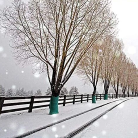 Enveloppement Protecteur D'Arbre,Betterlife 20m X 12,3cm, Bandage Antigel Pour Plantes Arbustives De Protection Du Tronc D'Arbre, Enveloppement D'Arbre Résistant à L'Hiver, Maintien Au Chaud Et Hydratation,2 Pcs,vert 6 Enveloppement Protecteur D'Arbre,Betterlife 20m X 12,3cm, Bandage Antigel Pour Plantes Arbustives De Protection Du Tronc D'Arbre, Enveloppement D'Arbre Résistant à L'Hiver, Maintien Au Chaud Et Hydratation,2 Pcs,vert – Image 4