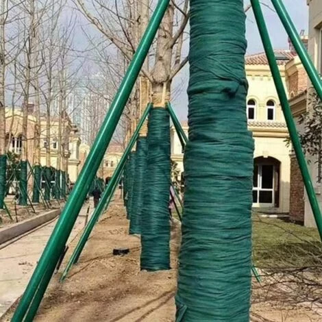 Enveloppement Protecteur D'Arbre,Betterlife 20m X 12,3cm, Bandage Antigel Pour Plantes Arbustives De Protection Du Tronc D'Arbre, Enveloppement D'Arbre Résistant à L'Hiver, Maintien Au Chaud Et Hydratation,2 Pcs,vert 7 Enveloppement Protecteur D'Arbre,Betterlife 20m X 12,3cm, Bandage Antigel Pour Plantes Arbustives De Protection Du Tronc D'Arbre, Enveloppement D'Arbre Résistant à L'Hiver, Maintien Au Chaud Et Hydratation,2 Pcs,vert – Image 5