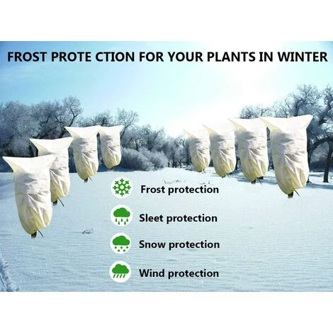 HIASDFLS 2 Pack Hivernage Plante, Housse Hivernage Plante, Protection Plantes, 80 X 60Cm Housse D'Hivernage, Housse De Protection Pour Plantes Housse D'Hivernage Réutilisable 4 HIASDFLS 2 Pack Hivernage Plante, Housse Hivernage Plante, Protection Plantes, 80 X 60Cm Housse D'Hivernage, Housse De Protection Pour Plantes Housse D'Hivernage Réutilisable – Image 2