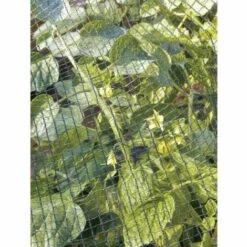 TENAX Filet De Protection 2x10m -Protection Pour Végétaux Soldes 460189 3