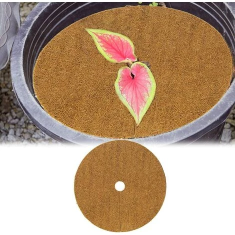 SUPERMARKET Disque De Protection Plante 12 Pcs Tapis De Coco Plantes,Disque De Paillage Coco Disques De Paillage 100% Noix De Coco Disque En Fibre De Coco,Protection Pour Plantes En Pot Plantes Protection Tapis,Superma 6 SUPERMARKET Disque De Protection Plante 12 Pcs Tapis De Coco Plantes,Disque De Paillage Coco Disques De Paillage 100% Noix De Coco Disque En Fibre De Coco,Protection Pour Plantes En Pot Plantes Protection Tapis,Superma – Image 4