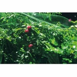 Filet Anti-oiseaux 2X10Mt Natuur Green Nt118599
