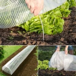 IDMARKET Tunnel De Forçage Accordéon Toutes Saisons PRO 5M -Protection Pour Végétaux Soldes 489560 5