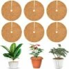 Tapis De Coco Plantes,Disque De Paillage Coco Disques,Tapis De Protection En Paillis Pour Plantes, Noix De Coco Disque En Fibre De Coco,Protection Pour Plantes En Pot Plantes Protection Tapis,Starlight,6 Pcs -Protection Pour Végétaux Soldes 49194335 1