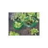 PRIMA FLORA Anneau De Protection, 5 Pièces. Ø 20x8cm,vert -transparent -Protection Pour Végétaux Soldes 4924437 1