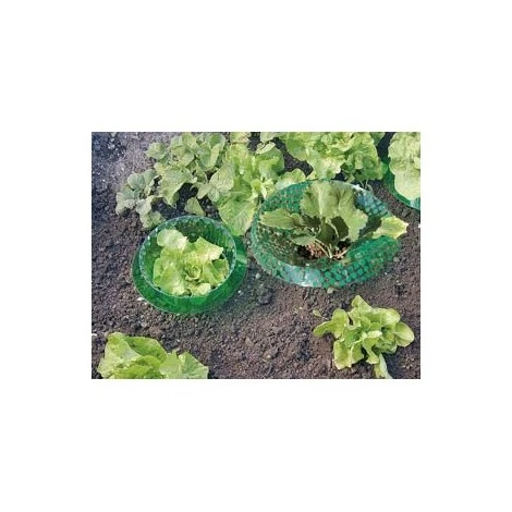 PRIMA FLORA Protection Plantation ,6 Pièces Ø19/13x12cm, Vert -transp. 3 PRIMA FLORA Protection Plantation ,6 Pièces Ø19/13x12cm, Vert -transp.