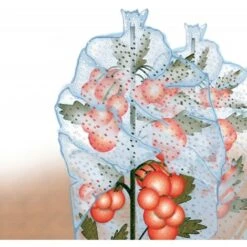 BAUHERR Protège Tomate 0,65x10m 20microns ,transparent