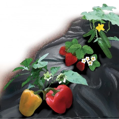 BAUHERR Bache Anti Mauvaise Herbes EX 1,5x5m 50g/m2, Noir,SB,UV+ 3 BAUHERR Bache Anti Mauvaise Herbes EX 1,5x5m 50g/m2, Noir,SB,UV+