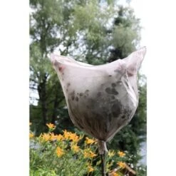 PRIMOS Protection Roses 17g/m2, Blanc,5 Unités