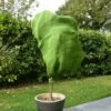 Pepinières Naudet Housse D'Hivernage En Toile De Jute 0,8*1m - -Protection Pour Végétaux Soldes 50267552 1