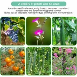 Filet à Plantes Grimpantes, Filet à Ramer Avec Maillage Large, Filet De Treillis, Pour Récolte De Concombres, Légume, Vignes, Plantes Grimpantes (1.8 X 2.7m)，Starlight -Protection Pour Végétaux Soldes 50941838 5