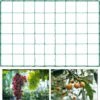 Filet à Plantes Grimpantes, Filet De Jardin, Filet D'Escalade Pour Plantes, 1,8 X 3,6m Filet De Treillis, Filet à Ramer Haricots, Treillis Jardin Filet Pour Concombre Légume Plante Grimpantes，Starlight -Protection Pour Végétaux Soldes 50941840 1